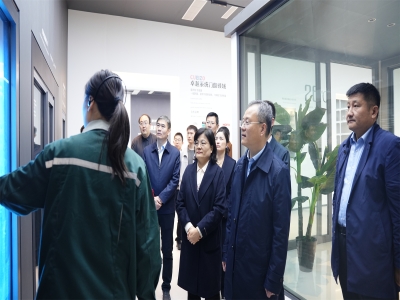 省工信廳總工程師、二級(jí)巡視員孫京軍一行 蒞臨卓越精工調(diào)研指導(dǎo)